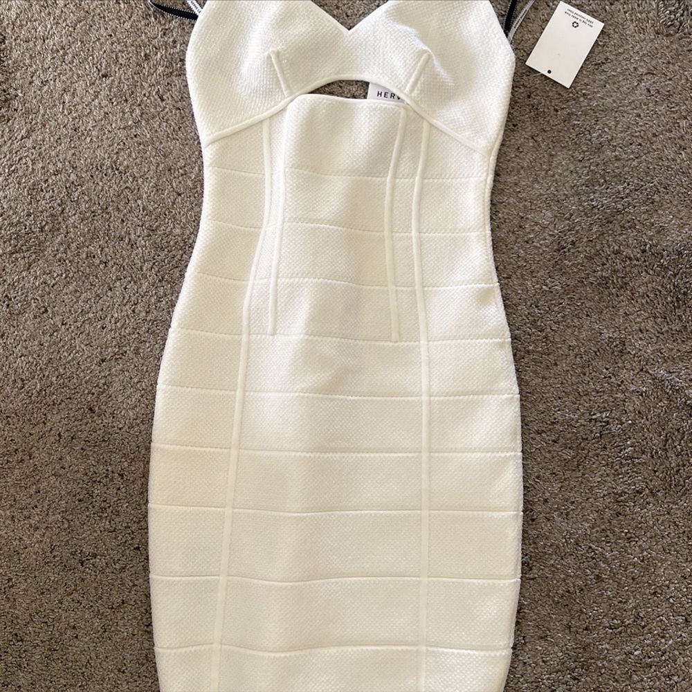 Herve Leger